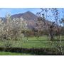 La natura a Caprie